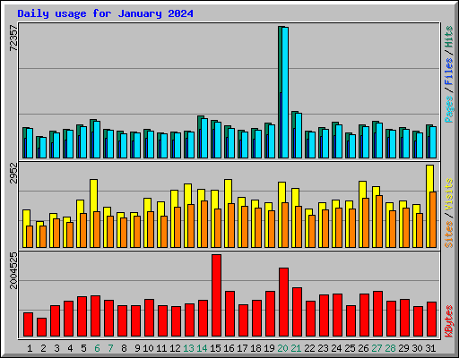 Daily usage for January 2024