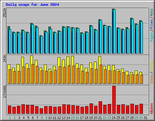 Daily usage for June 2024