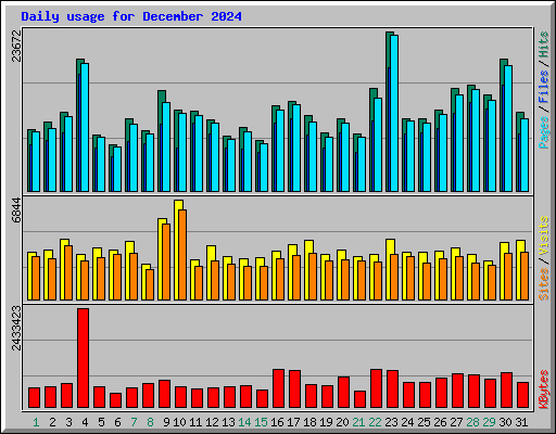 Daily usage for December 2024
