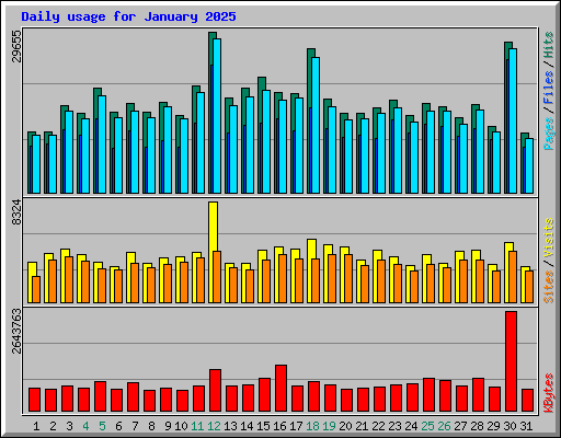 Daily usage for January 2025