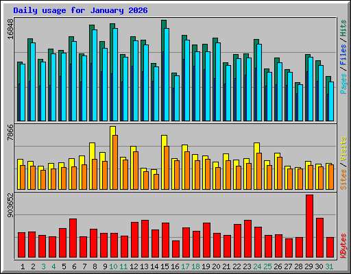 Daily usage for January 2026