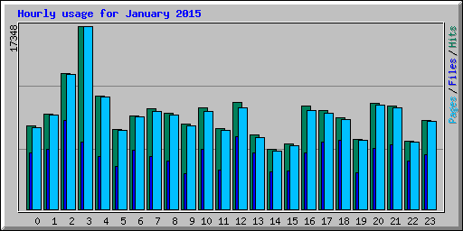 Hourly usage for January 2015