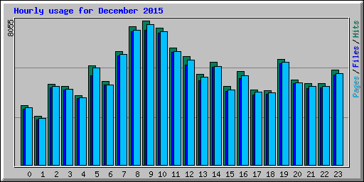 Hourly usage for December 2015