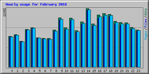 Hourly usage for February 2016