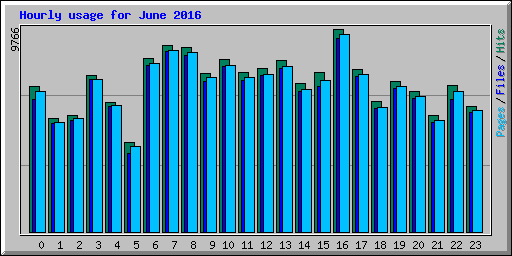 Hourly usage for June 2016