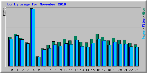 Hourly usage for November 2016
