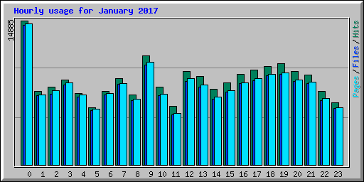 Hourly usage for January 2017