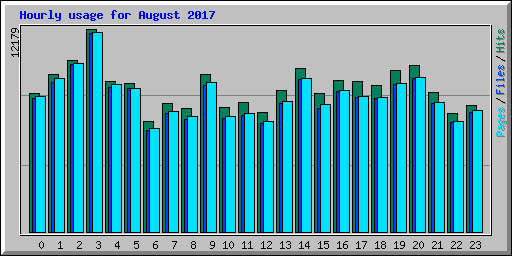 Hourly usage for August 2017