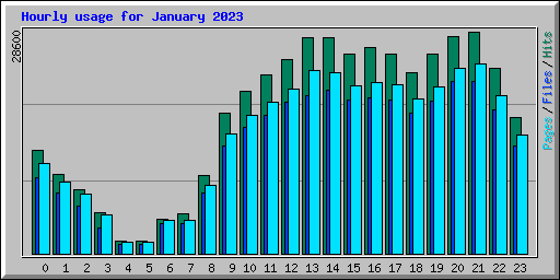 Hourly usage for January 2023