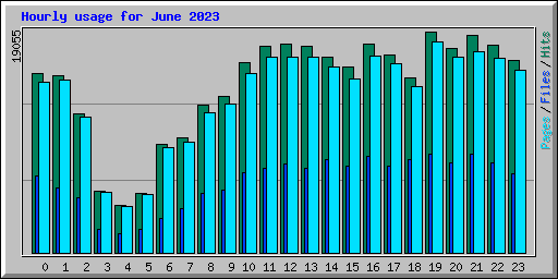 Hourly usage for June 2023