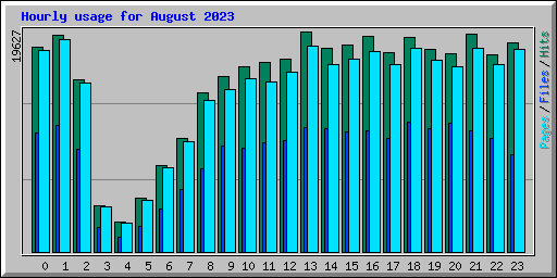 Hourly usage for August 2023