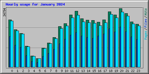 Hourly usage for January 2024