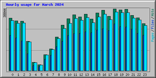 Hourly usage for March 2024