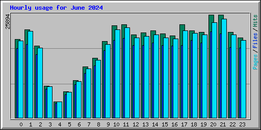 Hourly usage for June 2024