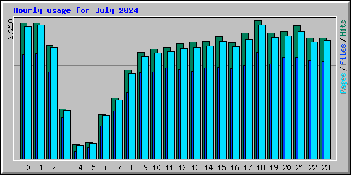 Hourly usage for July 2024