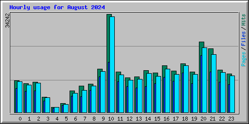 Hourly usage for August 2024