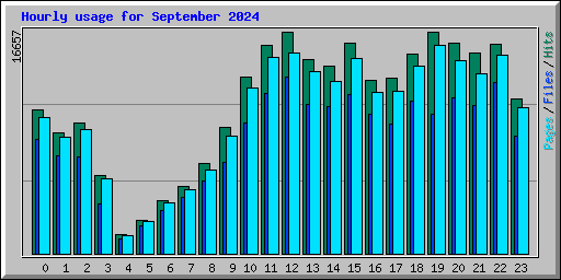 Hourly usage for September 2024