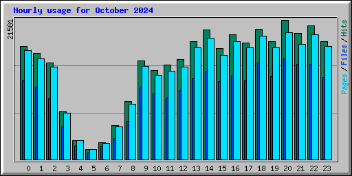 Hourly usage for October 2024