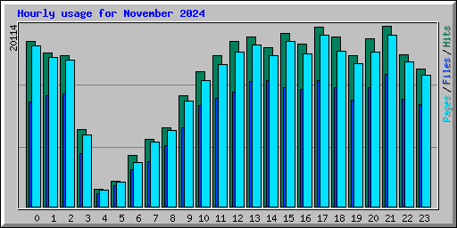 Hourly usage for November 2024