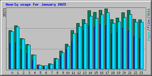 Hourly usage for January 2025
