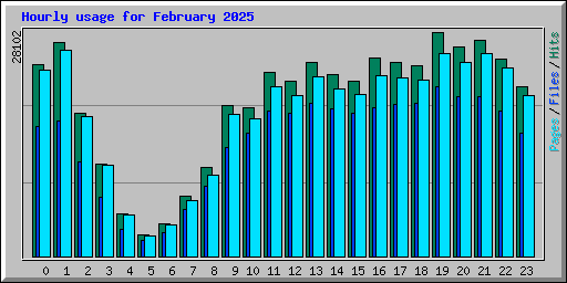 Hourly usage for February 2025