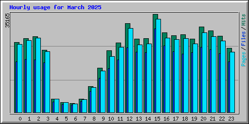 Hourly usage for March 2025
