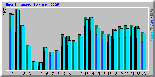 Hourly usage for May 2025