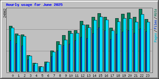 Hourly usage for June 2025
