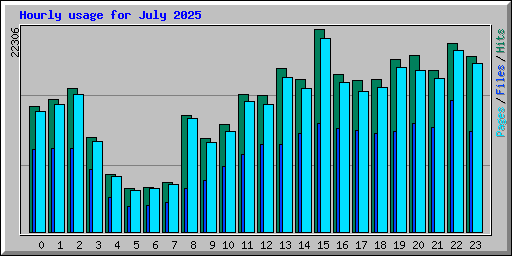 Hourly usage for July 2025