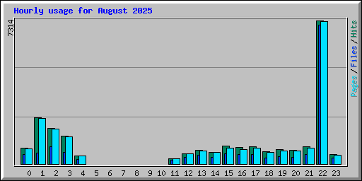 Hourly usage for August 2025