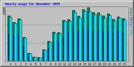 Hourly usage for November 2025