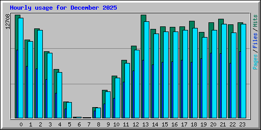 Hourly usage for December 2025