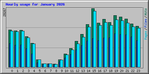 Hourly usage for January 2026