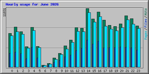 Hourly usage for June 2026