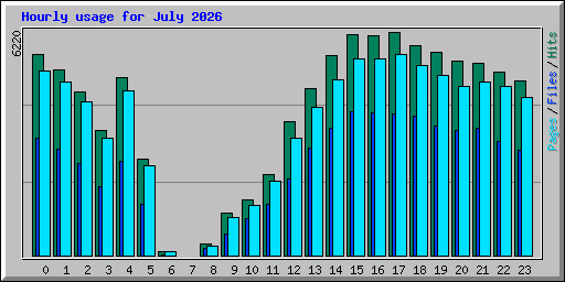Hourly usage for July 2026